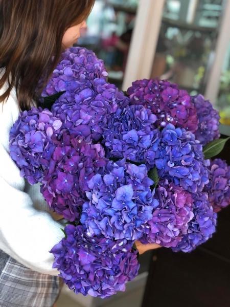  Гортензия - замечательной красоты цветок! Букеты с этим прекрасным цветком особенно пышные, нарядные и..