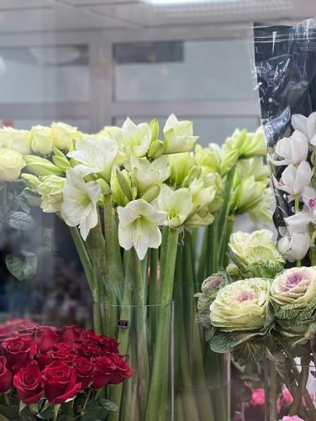 Сегодня 24.02.2023 г. торжественная часть открытия цветочного салона Бери и Дари.
МФК ЕВРОПА СИТИ, Бизнес центр -1..