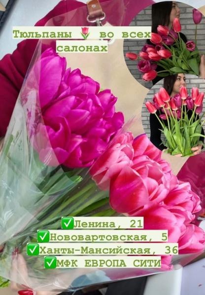 Тюльпаны  во всех салонах Бери и Дари 
Ограниченное количество 

Ленина, 21
Нововартовская,..
