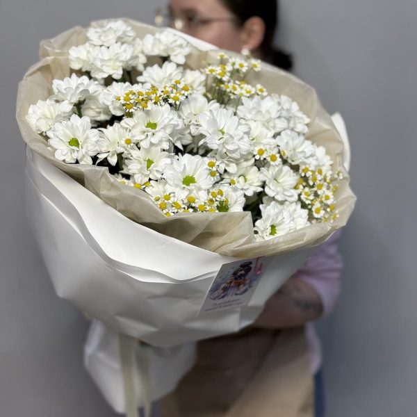 Полевые ромашки