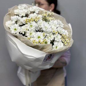 Полевые ромашки