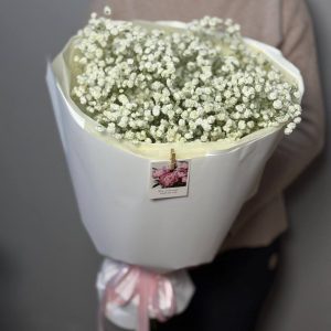 Букет из 7 белых гипсофил в упаковке