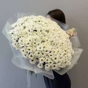 Букет из 51 белой хризантемы в упаковке