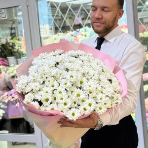 Букет из 25 кустовых хризантем сорта Кеннеди в упаковке