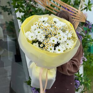 Ромашковая нежность