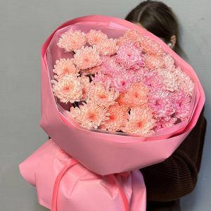 Яркие моменты
