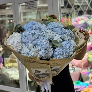 Букет из 11 гортензий с эвкалиптом в упаковке